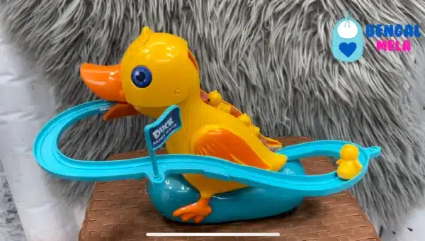 Duck Track Slide Toy