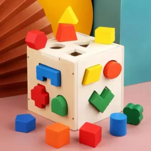 Montessori 15 Hole Intelligence Box