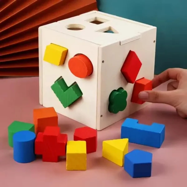 Montessori 15 Hole Intelligence Box - Image 4